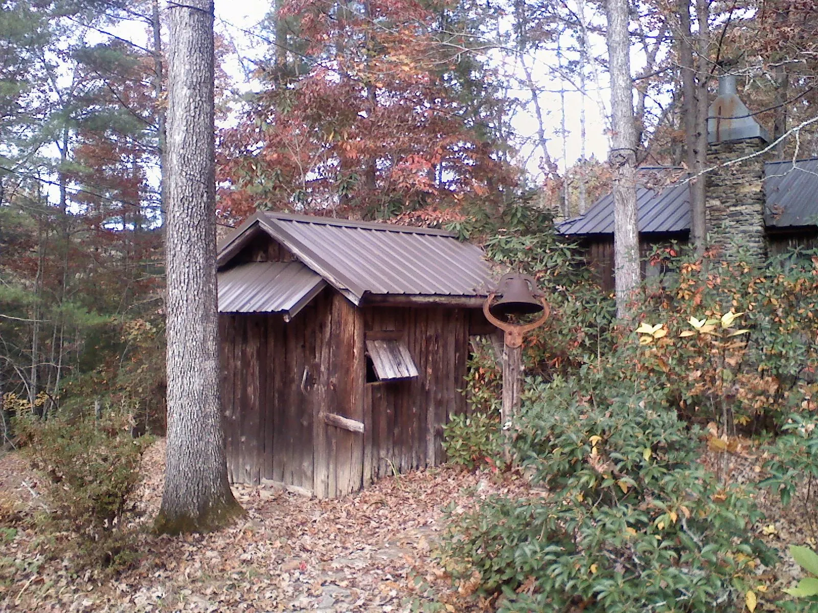 Small metal roof on a rough sawn shed in the woods in Pleasanton